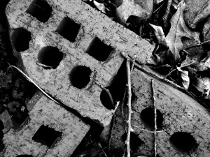 The holes in these bricks take on a completely different look in black and white. 