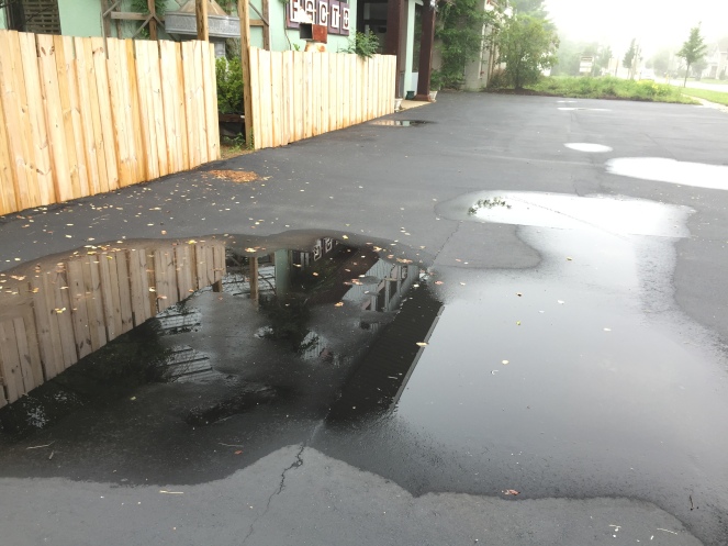 puddle before
