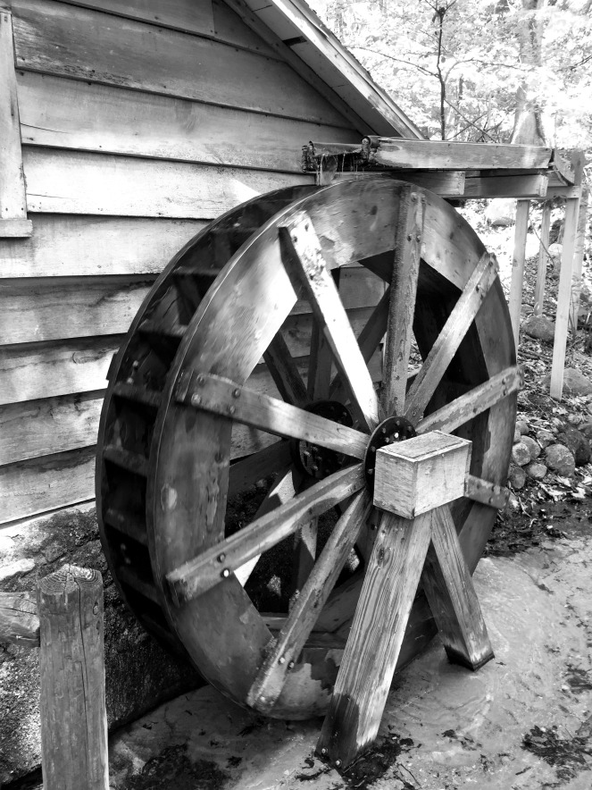bw wheel
