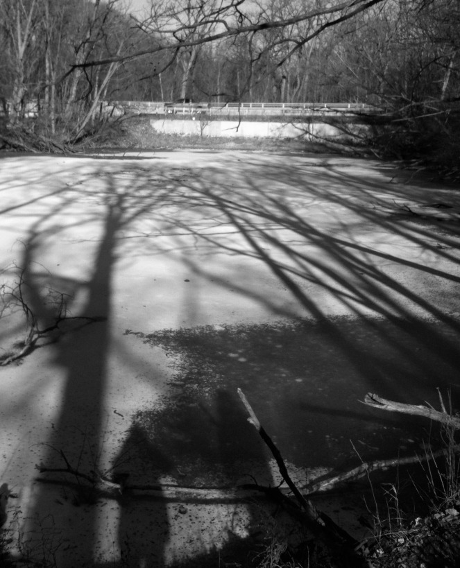bw shadows across frozen pond
