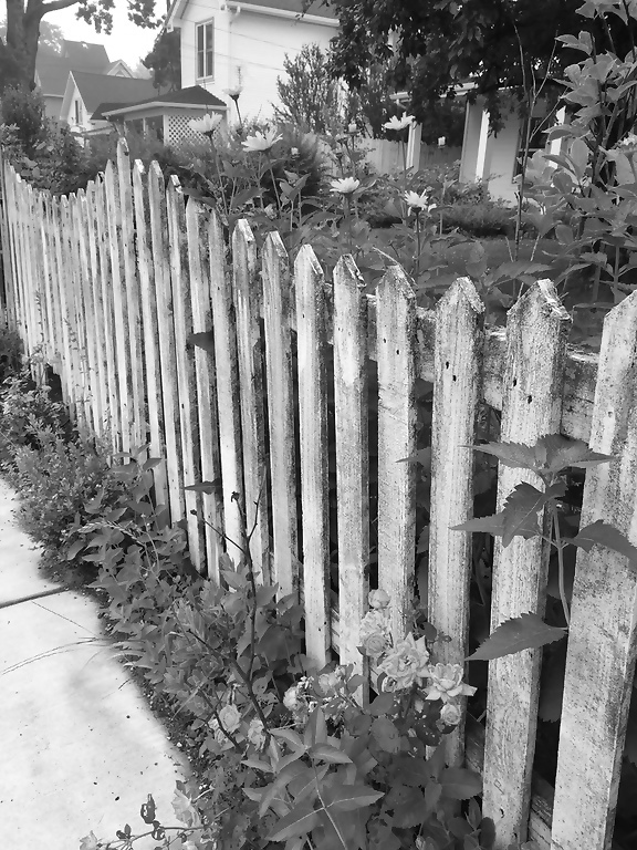 bw fence with flowers