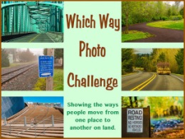 which way photo challenge